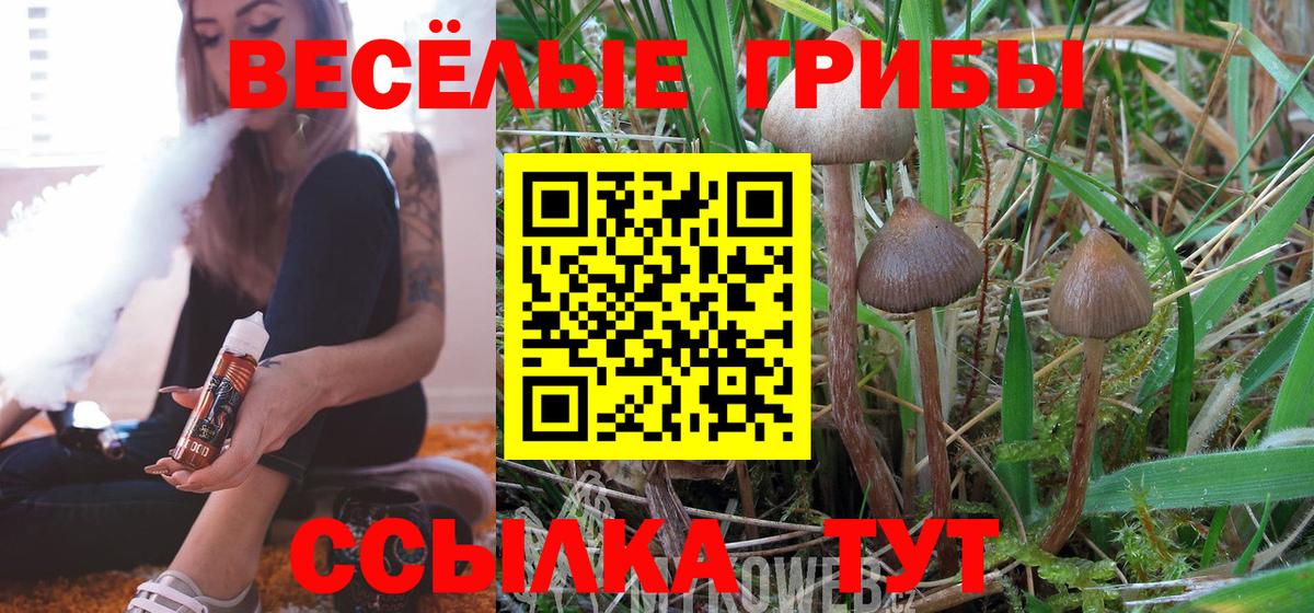 Галлюциногенные грибы Psilocybine cubensis  Вход с VPN  Галлюциногенные грибы прущие грибы  Спасск-Дальний 