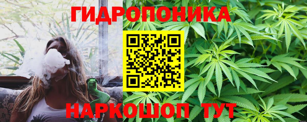 Конопля тримм  Шишки марихуана Bruce Banner  Спасск-Дальний  МАРИХУАНА Ganja  Вход с VPN  Шишки марихуана планчик 